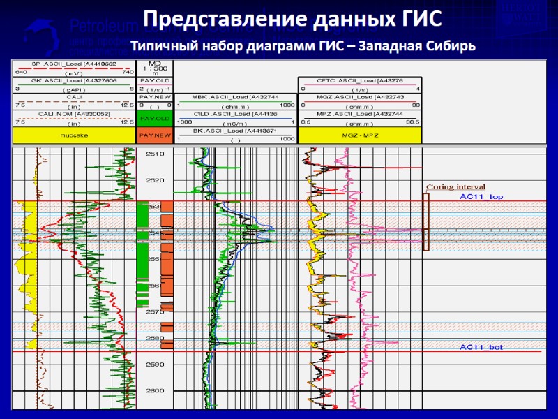 Представление данных ГИС Типичный набор диаграмм ГИС – Западная Сибирь